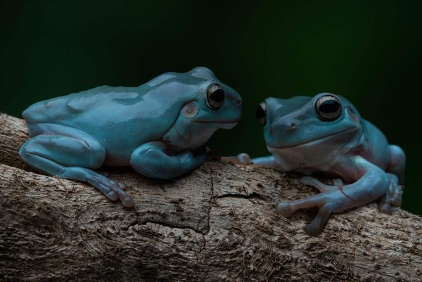 Can You Pair a Graphic Tee with a Suit for an Edgy Yet Professional Outfit?