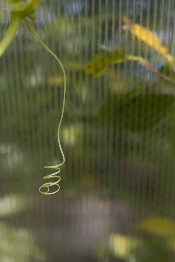 How Can Adaptive Resistance Devices Enhance Training for Paralympic Powerlifters?