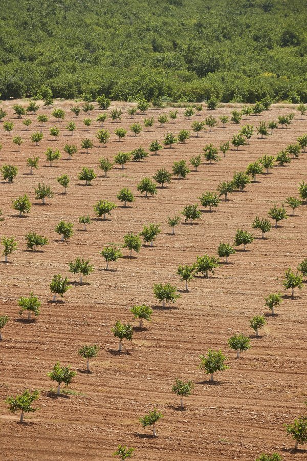 How Can Urban Vertical Farming Impact Nutritional Access and Public Health?